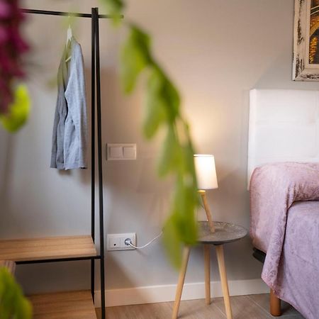 Apartamentos Terraza Ega Estella Bagian luar foto